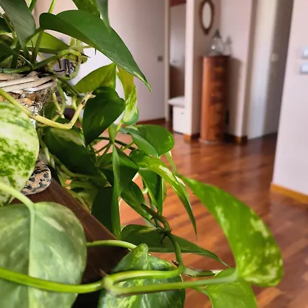 Apartament Annina